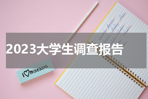 2023大学生调查报告