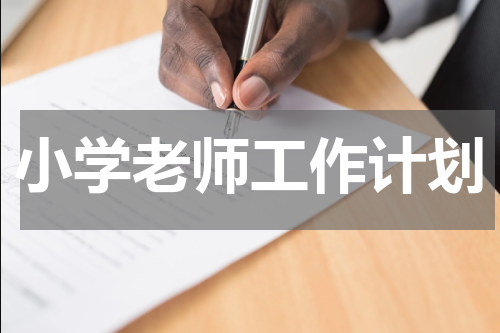 小学老师工作计划
