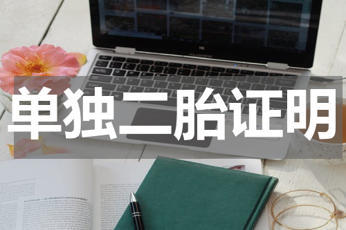 单独二胎证明