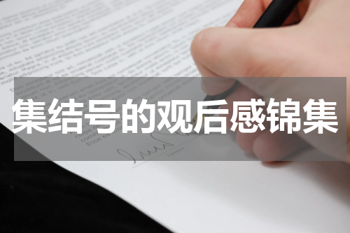 集结号的观后感锦集