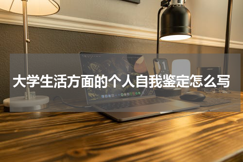 大学生活方面的个人自我鉴定怎么写