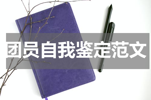 团员自我鉴定范文