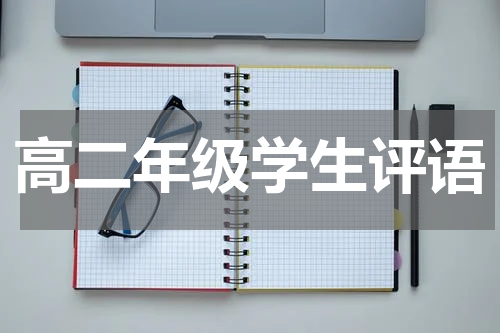 高二年级学生评语
