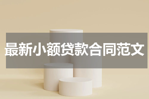 最新小额贷款合同范文