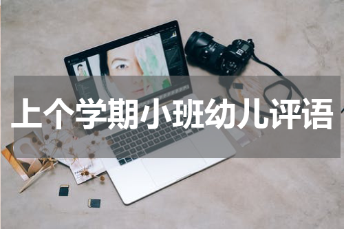 上个学期小班幼儿评语