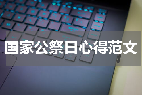 国家公祭日心得范文