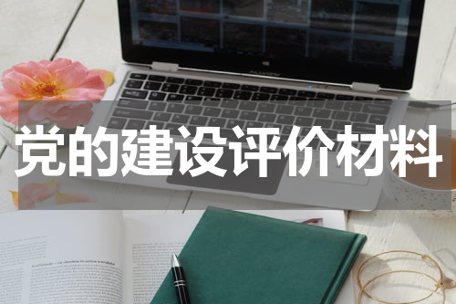党的建设评价材料