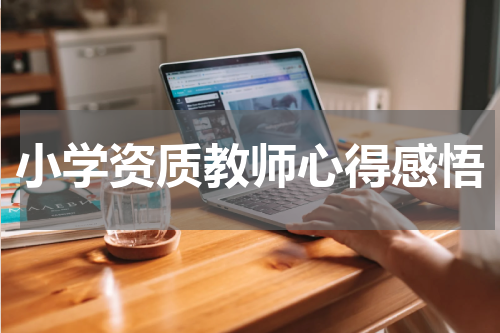 小学资质教师心得感悟