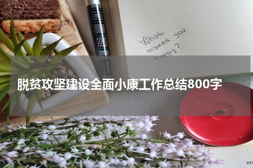 脱贫攻坚建设全面小康工作总结800字