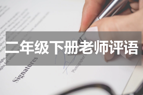 二年级下册老师评语