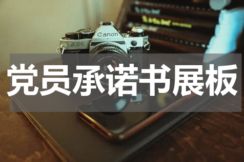 党员承诺书展板