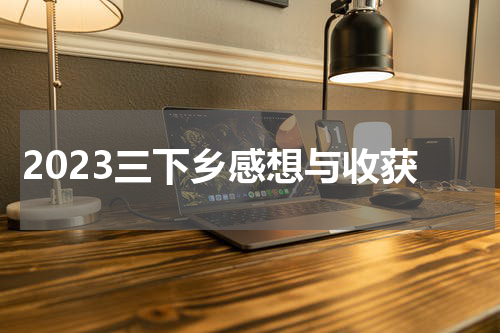 2023三下乡感想与收获