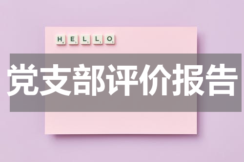 党支部评价报告