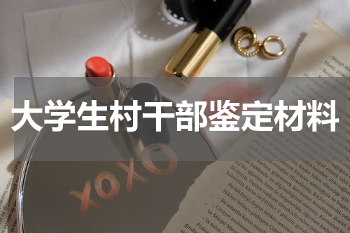 大学生村干部鉴定材料