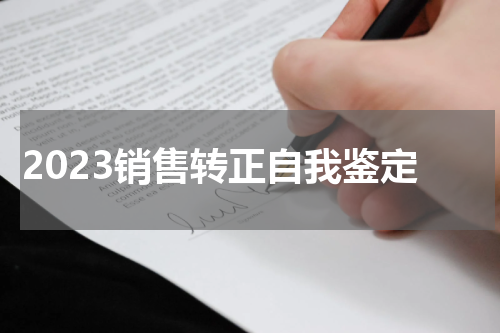 2023销售转正自我鉴定