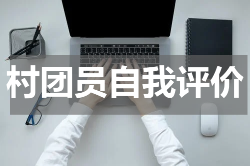 村团员自我评价