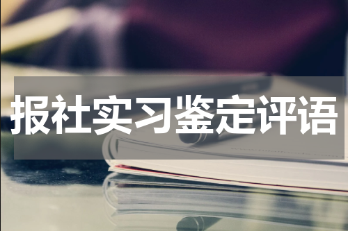 报社实习鉴定评语
