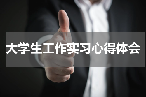大学生工作实习心得体会