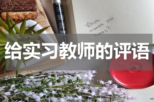 给实习教师的评语