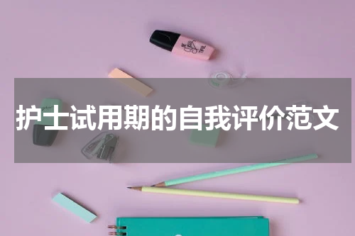 护士试用期的自我评价范文