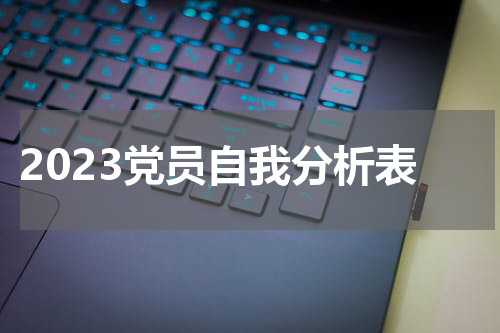 2023党员自我分析表
