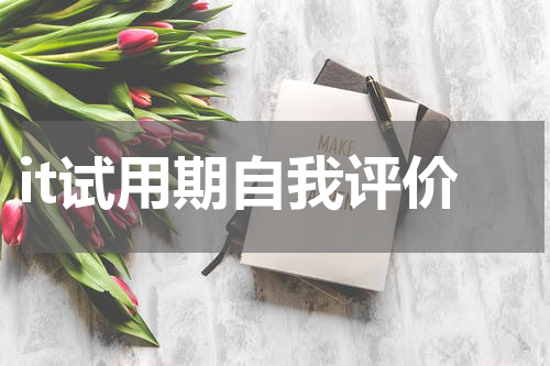 it试用期自我评价