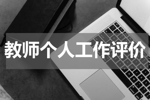 教师个人工作评价