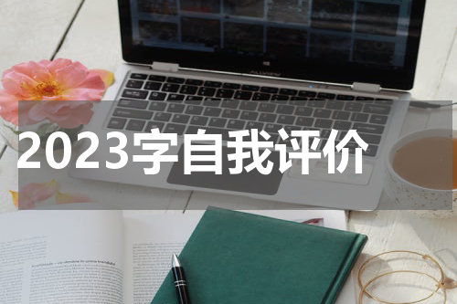 2023字自我评价