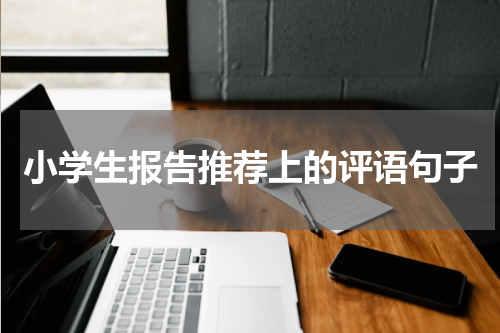 小学生报告推荐上的评语句子