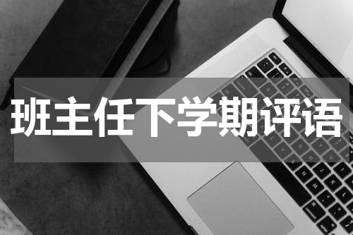 班主任下学期评语