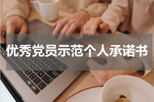优秀党员示范个人承诺书