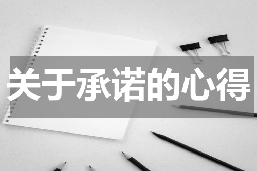 关于承诺的心得