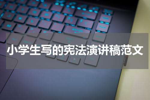 小学生写的宪法演讲稿范文