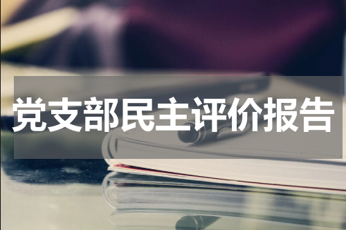 党支部民主评价报告