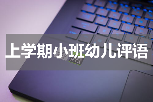 上学期小班幼儿评语