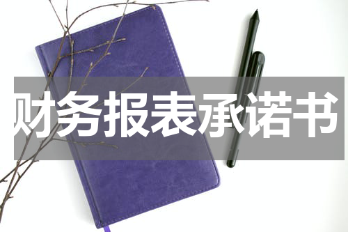 财务报表承诺书
