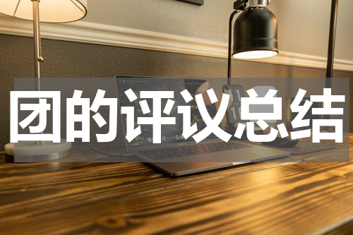 团的评议总结