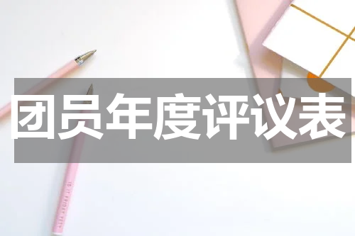 团员年度评议表