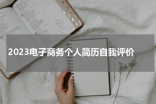 2023电子商务个人简历自我评价