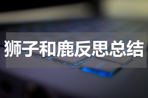 狮子和鹿反思总结