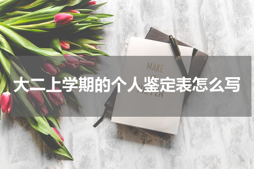 大二上学期的个人鉴定表怎么写