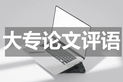 大专论文评语