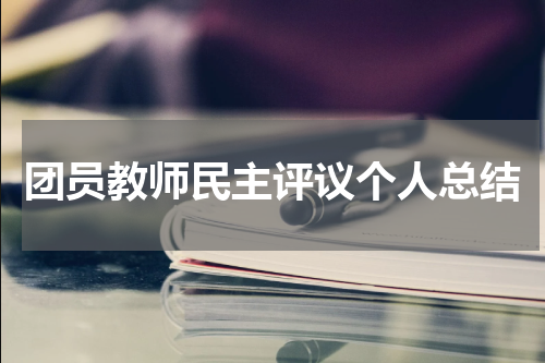 团员教师民主评议个人总结