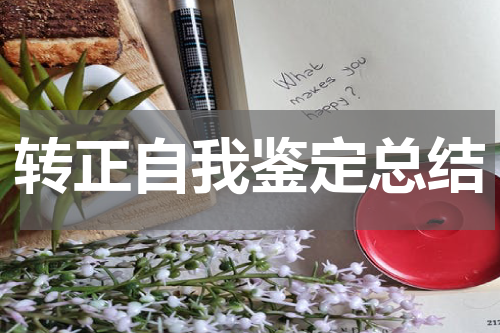 转正自我鉴定总结