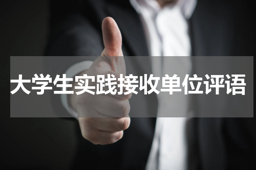 大学生实践接收单位评语