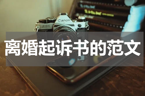 离婚起诉书的范文