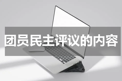 团员民主评议的内容