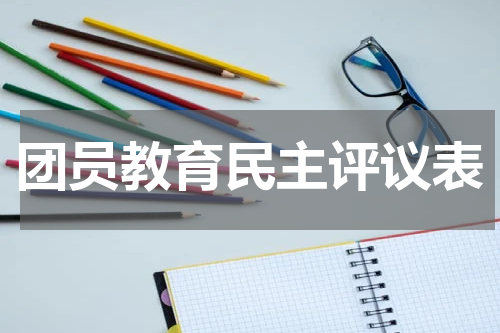 团员教育民主评议表