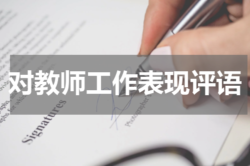 对教师工作表现评语