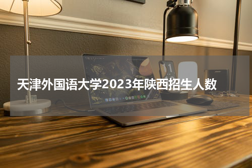 天津外国语大学2023年陕西招生人数多少